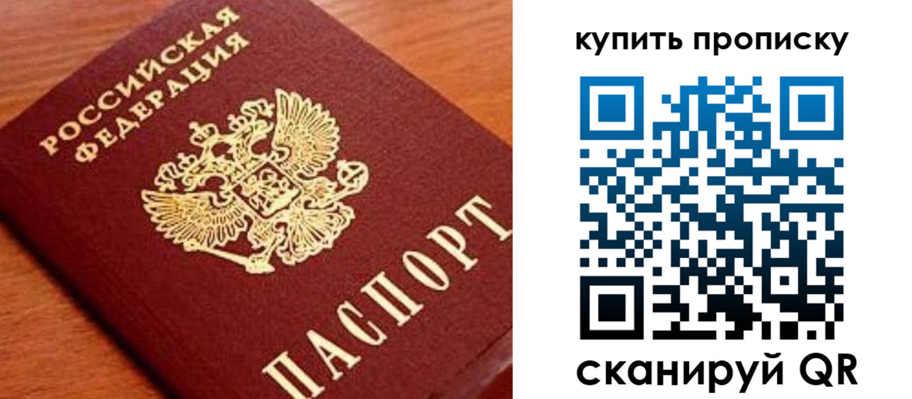прописка поиск в Ставрополе